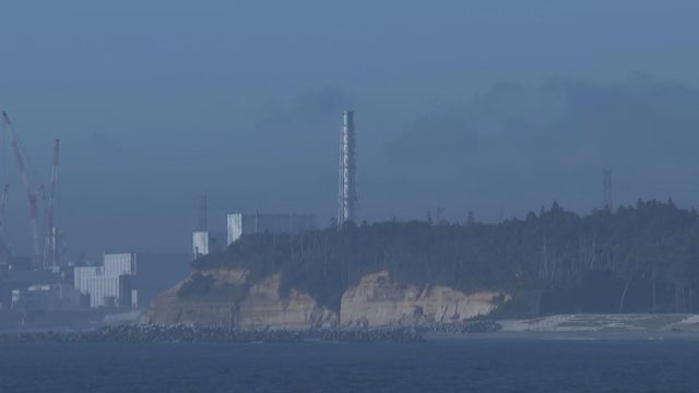 【核污水排海】中日達共識 外交部稱將逐步恢復合規日本水產品進口