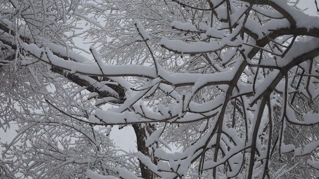 內地入冬後首輪寒潮來襲 預測山西最低溫跌至零下20度