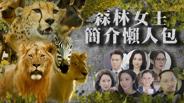 森林女王TVB｜《新聞女王》演員傾情聲演非洲動物王國「生存戰」 馬國明/高海寧/鄧智堅/何依婷