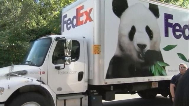 大熊貓寶力、青寶抵達華盛頓國家動物園 中方指將與美全力保障健康及安全